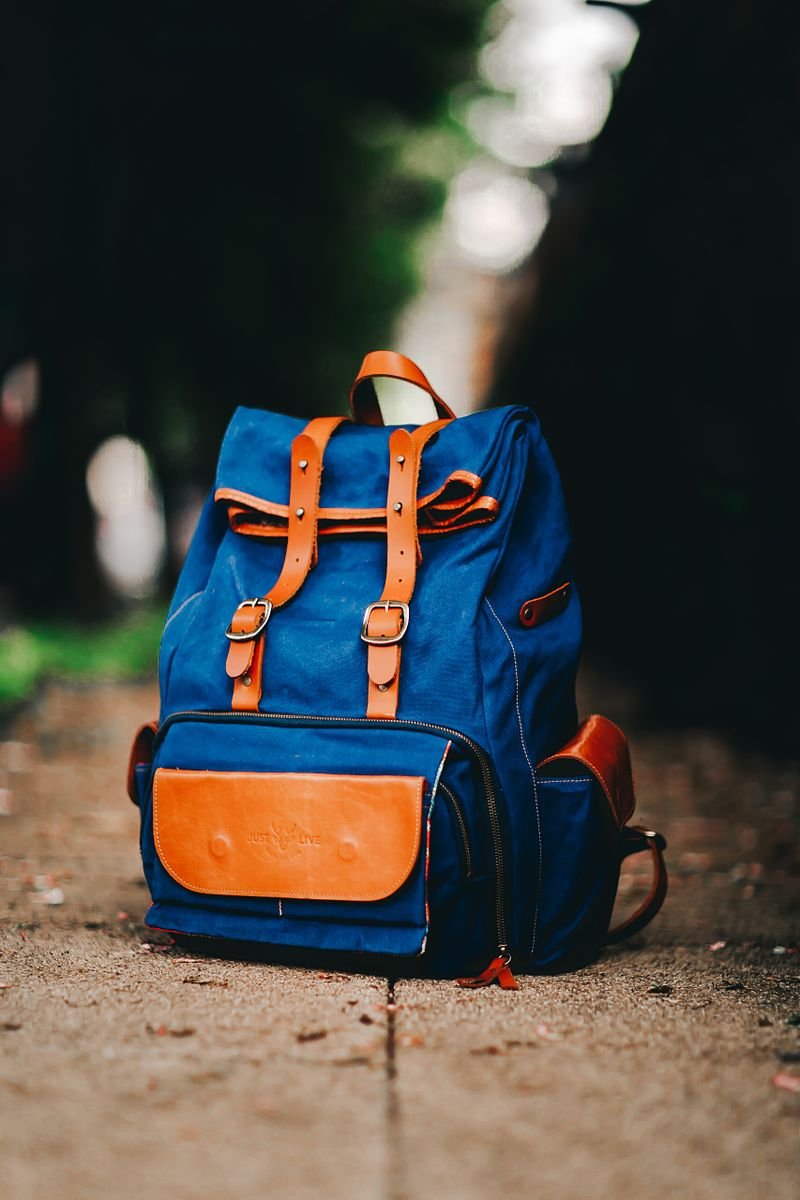 Cartera Satchel